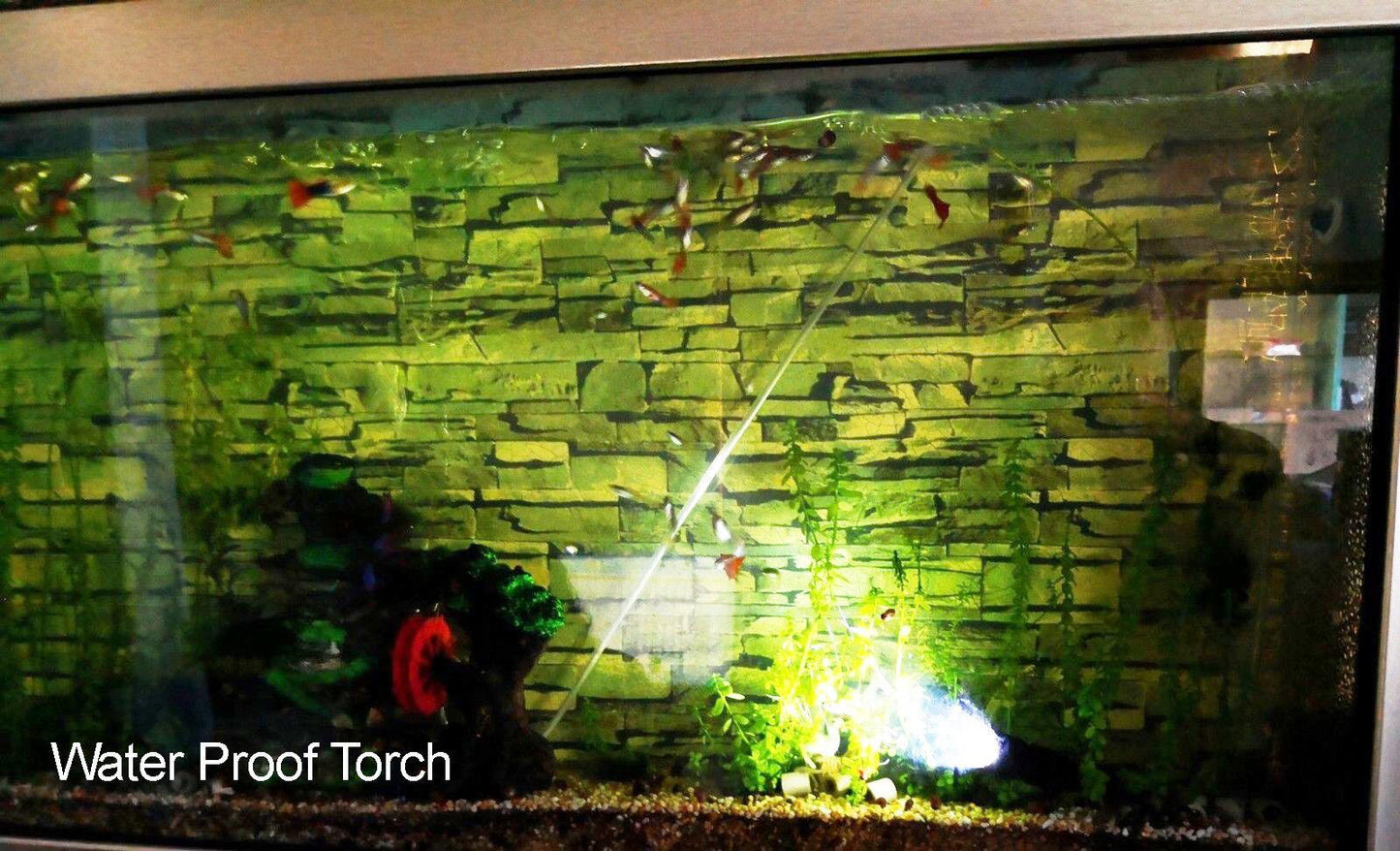 CREE Q5 LED Zoomable Focus Waterproof Flashlight Torch 1200LM w/ free AA battery - BESTA