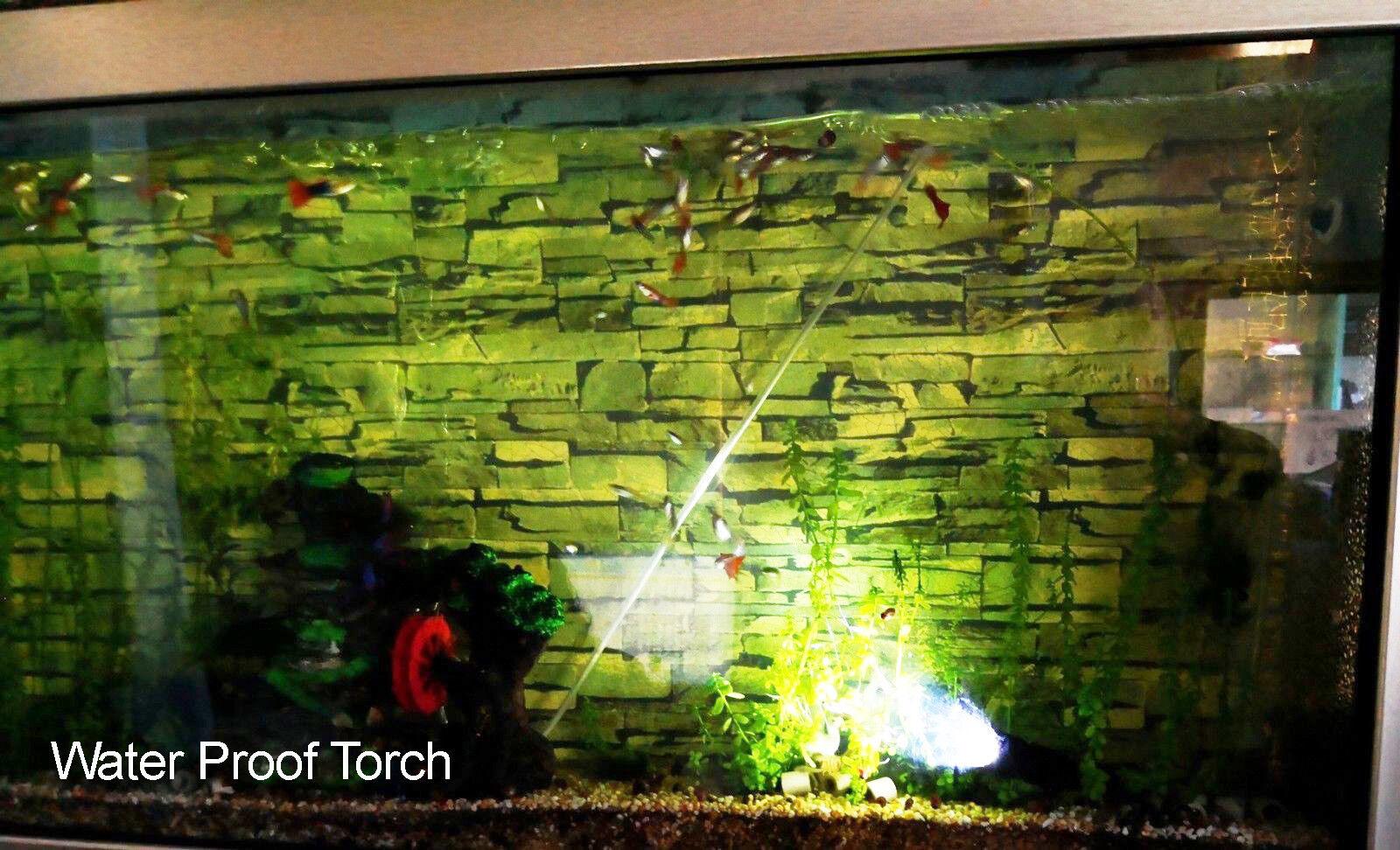 CREE Q5 LED Zoomable Focus Waterproof Flashlight Torch 1200LM w/ free AA battery - BESTA